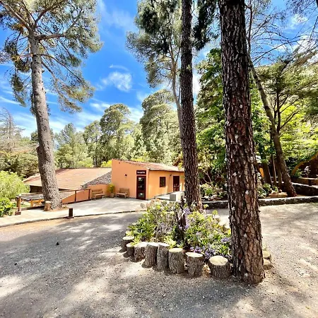 Romantic Deluxe Suite, Heated Pool, Wifi, Mountain View In La Esperanza * 산타크루스데 테네리페